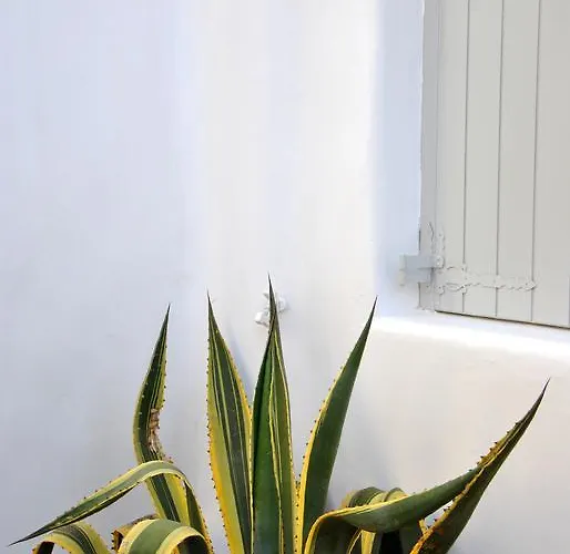 Riva Suites - Adults Only * Mykonos Town